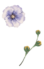 deco